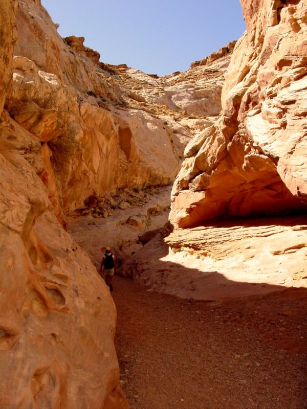 04160302LittleWildHorse (1020)